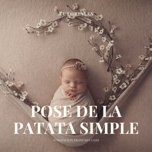 Tutorial de Patata Simple